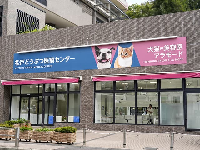 松戸どうぶつ医療センターの外観写真
