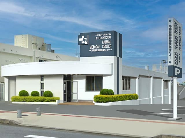沖縄国際動物医療センター 中部病院の外観写真