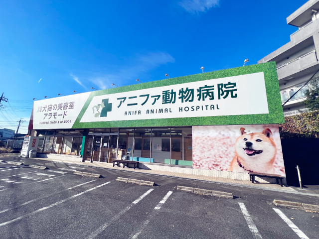 アニファ動物病院 松戸病院の外観写真